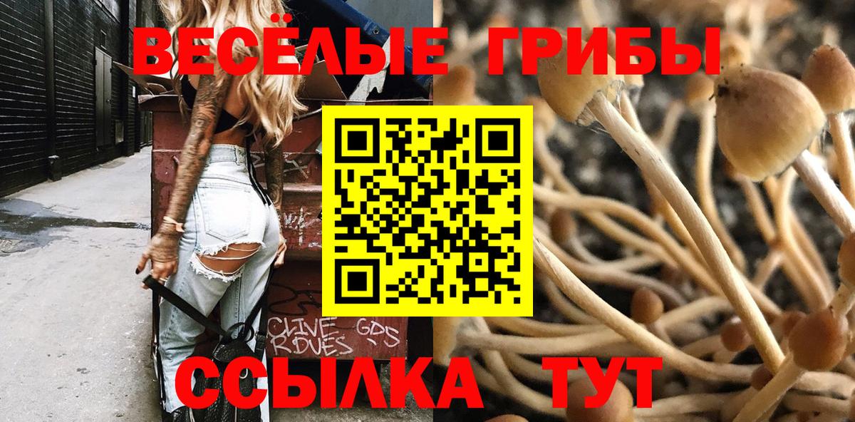 Псилоцибиновые грибы Psilocybe  Вход с VPN  Сыктывкар 