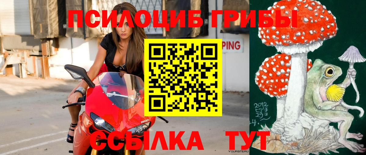 Галлюциногенные грибы ЛСД Сыктывкар
